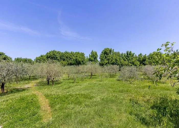 Daire In Valbandon Near & Fa Ana