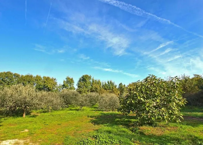 In Valbandon Near & Fa Ana